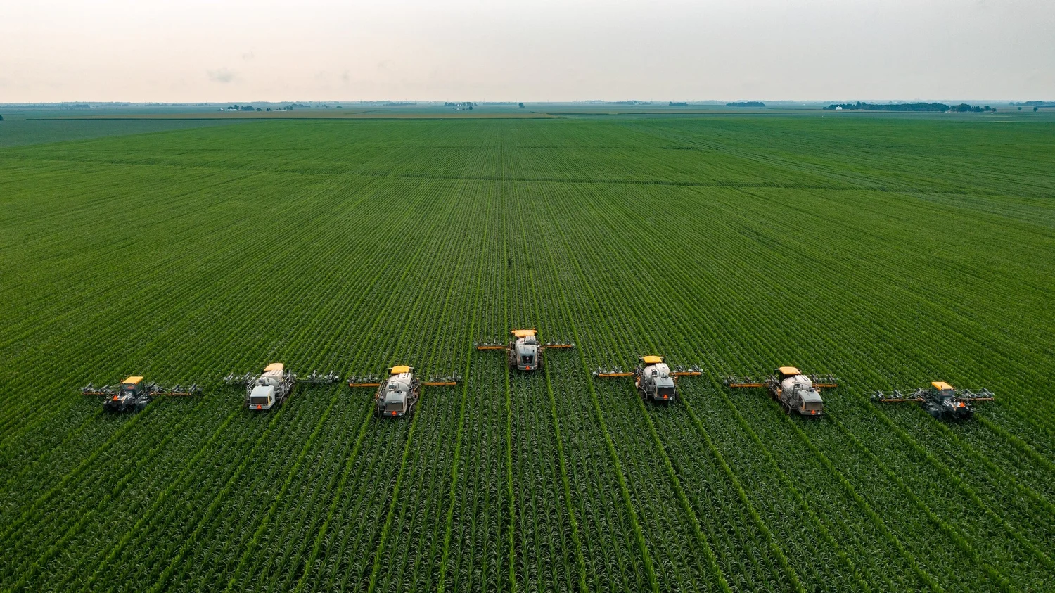 A large field under irrigation